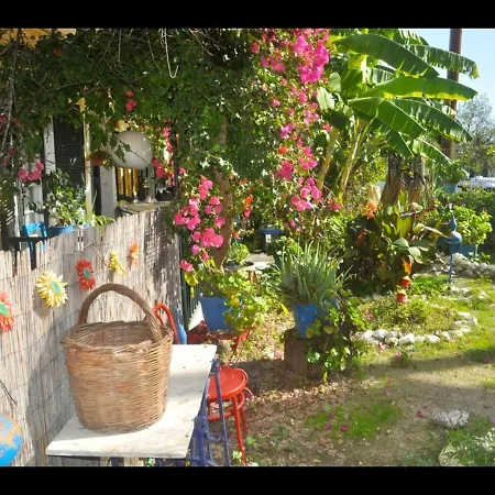 Pension Telis Und Brigitte 3 Pelekas
